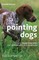 Pointing Dogs