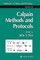 Calpain Methods and Protocols