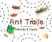Ant Trails