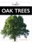 Oak Trees