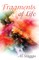 Fragments of Life
