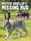 Mister Bigflop and the Missing Mud