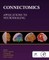 Connectomics