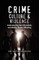 Crime, Culture & Violence