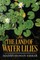 In The Land of Water Lilies