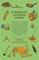 Outdoor Life and Indian Stories - Making Open Air Life Attractive to Young Americans by Telling Them All About: