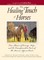 The Healing Touch for Horses