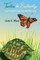 Turtle to Butterfly