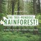 The Tree-Mendous Rainforest! All about the Rainforests Children's Nature Books