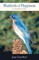 Bluebirds of Happiness