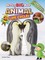 My First Big Book of Animal Life Cycles