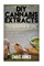 DIY Cannabis Extracts