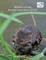 Wildlife of the Kennet and Avon Canal