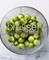 Brussel Sprouts