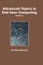 Advanced Topics in End User Computing, Volume 3