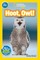 Hoot, Owl!
