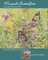 Monarch Butterflies