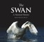 The Swan