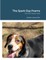 The Spark Day Poems