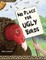 No Place for Ugly Birds