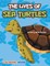 The Lives of Sea Turtles Coloring Book