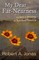 My Dear Far-Nearness: The Holy Trinity as a Spiritual Practice