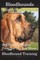Bloodhounds, Bloodhound Training Book for Both Bloodhound Dogs & Bloodhound Puppies by D!g This Dog Training