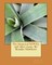 The historical NOVEL, and other essays. By