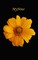 MyNote