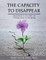 The Capacity to Disappear