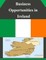 Business Opportunities in Ireland