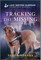Tracking the Missing