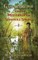 Gaspar Brown and the Mystery of the Seminole Spring