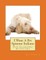 I Want A Pet Spinone Italiano