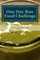 One Day Raw Food Challenge