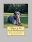 I Want A Pet Irish Wolfhound