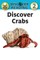 Discover Crabs