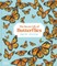 The Secret Life of Butterflies
