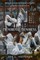 Phenomenal Phenomena