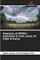 Analysis of REDD+ potential in two areas of CÃ´te d'Ivoire