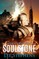 Paladin's Way Soulstone