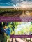Abiding in the Vine / Unity Learning, Living, and Sharing in the Abundant Life
