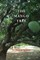 The Mango Tree