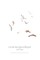 routines/goodbyes