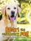 Pearl the Discovery Dog