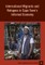 International Migrants and Refugees in Cape TownÃ­s Informal Economy