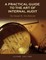 A Practical Guide to the Art of Internal Audit