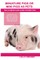 Miniature Pigs Or Mini Pigs as Pets