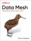 Data Mesh