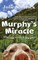 Murphy's Miracle